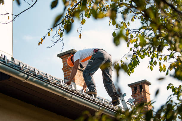 Trusted Wheaton, MN Roofing Contractor Experts